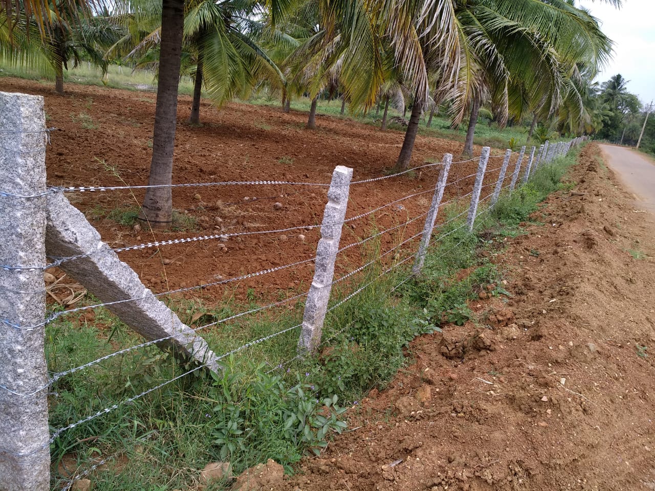 Property	Fencing